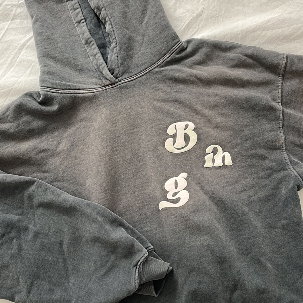 Anine Bing Vintage Bing Alec Hoodie - Picture 6 of 8